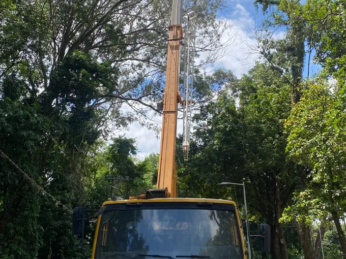 Guindaste Pega Peso com lança estendida verticalmente entre árvores para serviço de acesso restrito em Piracicaba